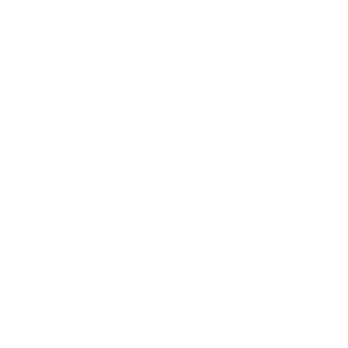 IDF Independent Doctors Federation