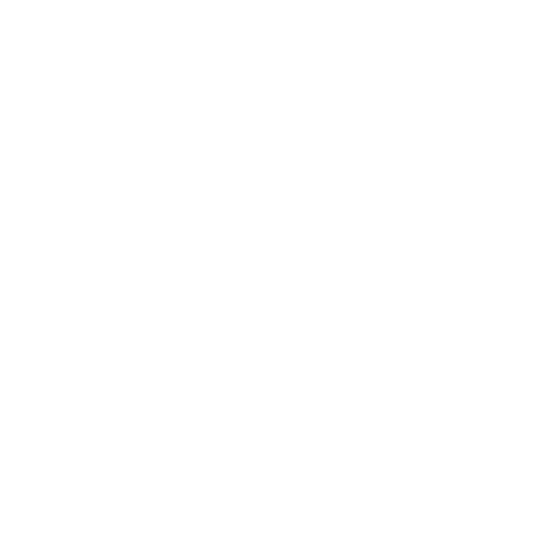 ISSM