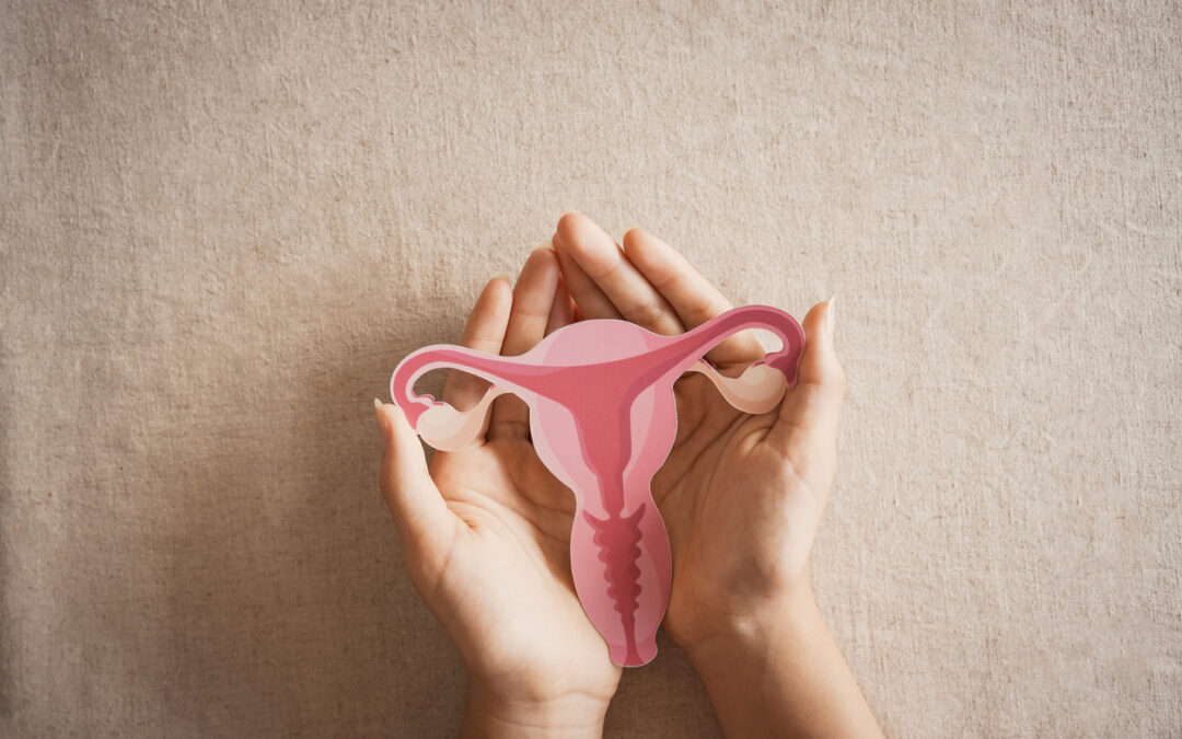 Brain and Estrogen: What Really Happens in Menopause?